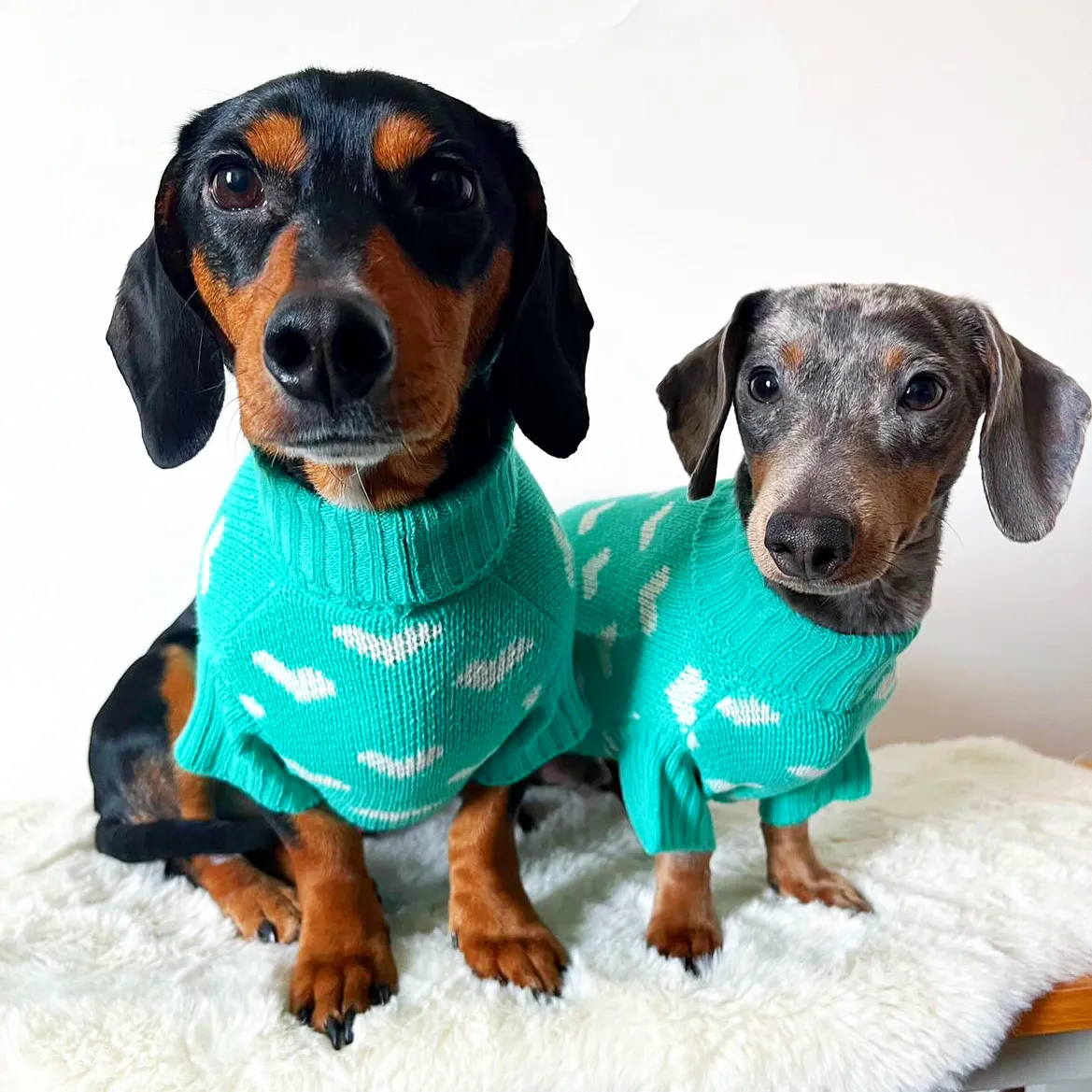 Teal Heart Knitted Dog Jumper or Cat Jumper