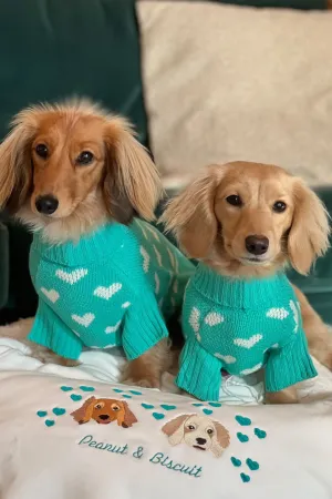 Teal Heart Knitted Dog Jumper or Cat Jumper